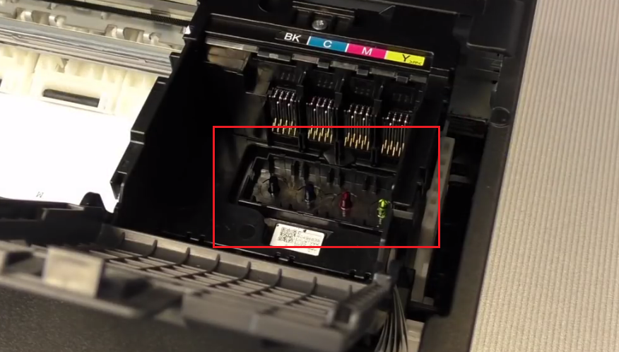 expose ports